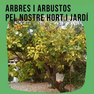 Taller 'Arbres i arbustos per al nostre hort i jardí' Taller 'Arbres i arbustos per al nostre hort i jardí'