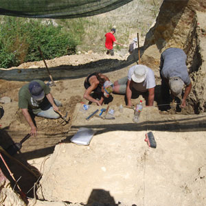 VII Cicle de Conferències d’Actualitat Arqueològica a les comarques gironines VII Cicle de Conferències d’Actualitat Arqueològica a les comarques gironines