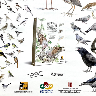 Llibre 'Atles dels ocells nidificants de Catalunya. Distribució i abundància 2015-2018 i canvi des de 1980' Llibre 'Atles dels ocells nidificants de Catalunya. Distribució i abundància 2015-2018 i canvi des de 1980'