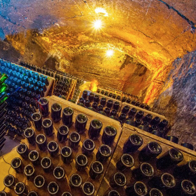 Caves Gibert - Bages Terra de vins