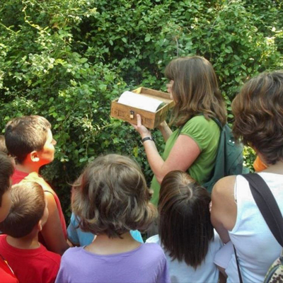 Activitat familiar 'L'enigma del bosc de les goges', Porqueres, 2025