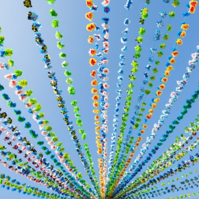 Festes de Barris de Sant Pere de Riudebitlles, 2025