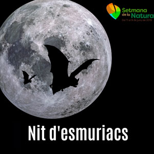 Nit d'esmuriacs a Belianes, 2019 Nit d'esmuriacs a Belianes, 2019