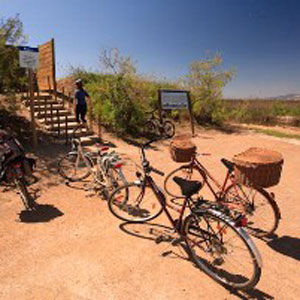Bicicletes pel Delta de l'Ebre Bicicletes pel Delta de l'Ebre