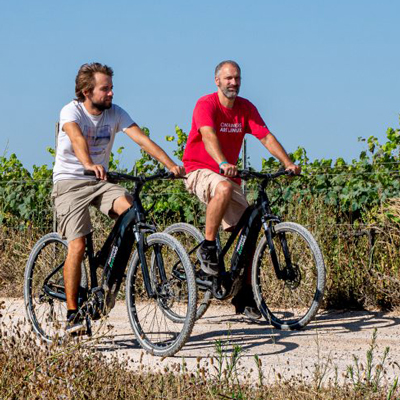 Rovellats – Descobreix les vinyes amb bicicleta elèctrica Rovellats – Descobreix les vinyes amb bicicleta elèctrica