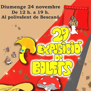 29a Exposició de Bolets a Bescanó, 2019 29a Exposició de Bolets a Bescanó, 2019