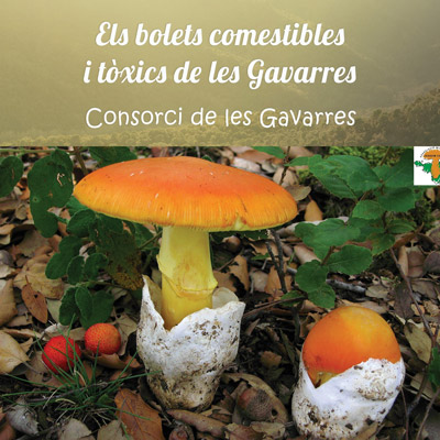 Sortida Passegem per Fitor, Bolets Comestibles