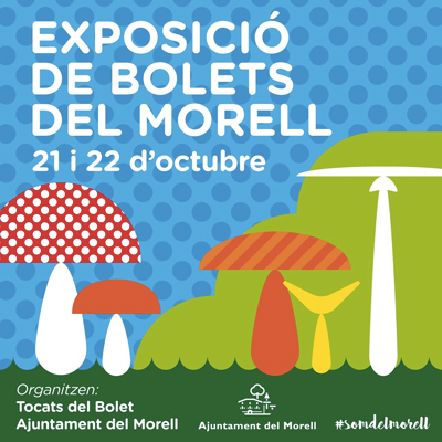 27a Exposició de Bolets del Morell, 2023 27a Exposició de Bolets del Morell, 2023