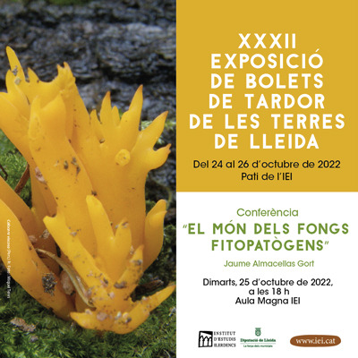 XXXII Exposició de bolets de tardor de les Terres de Lleida, IEI, Institut d'Estudis Ilerdencs, lleida, 2022