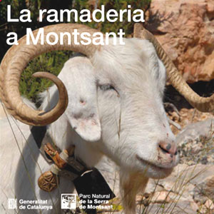 Cicle de xerrades sobre patrimoni cultural i històric de Montsant, 2019