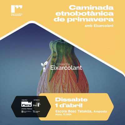 Caminada etnobotànica de primavera amb Eixarcolant, Amposta, 2023