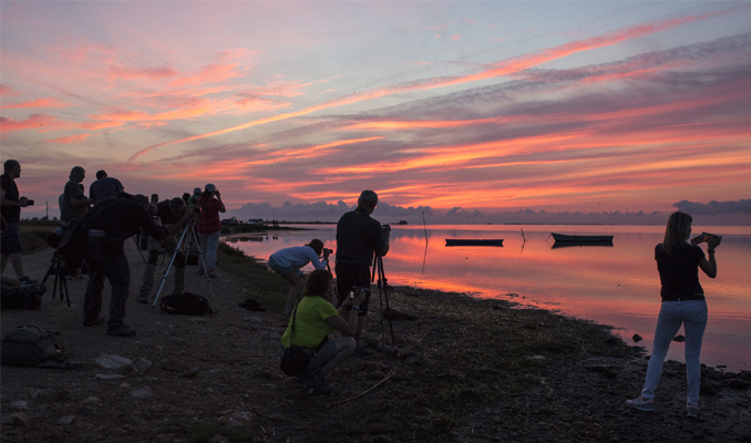 Delta Birding Festival