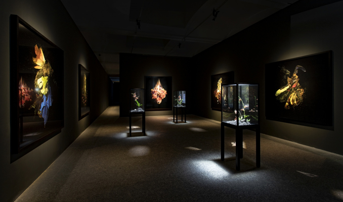 Mat Collishaw Mat Collishaw