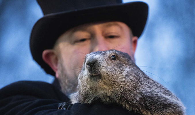 Dia de la Marmota