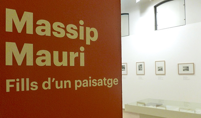 Massip i Mauri
