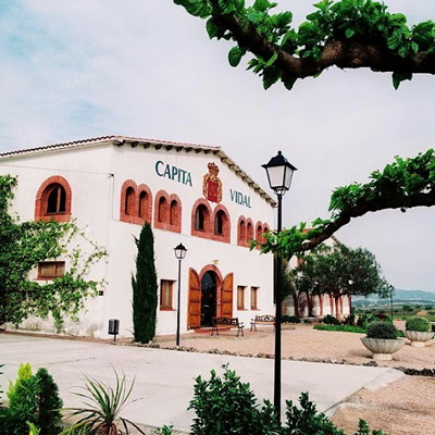 Bodegues Capità Vidal, Capità Vidal, El Pla del Penedès, 2024