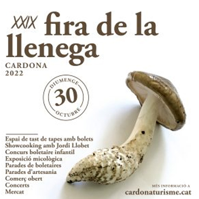 Fira de la Llenega Fira de la Llenega