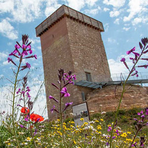 Castell d'Ascó Castell d'Ascó