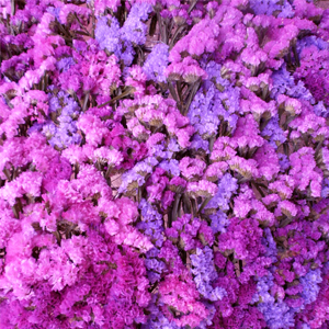 Catifes de flors