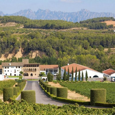 La verema al riu, Celler Segura Viudas, Torrelavit La verema al riu, Celler Segura Viudas, Torrelavit