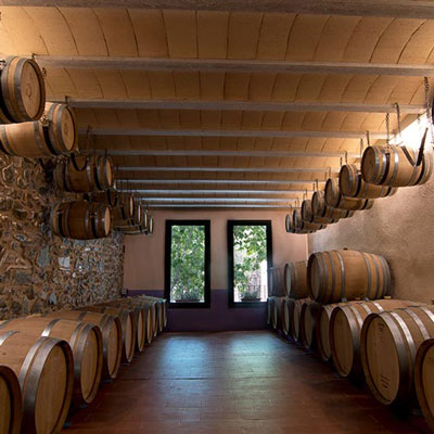 Wine Tour Celler Álvarez Durán