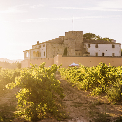 Celler i vinyes d'Oller del Mas