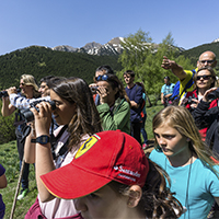 Observació de voltors durant la sortida 