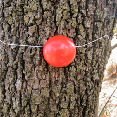 Clown: una mirada diferent, Parc Natural de la Serra de Montsant, La Morera de Montsant, 2025 Clown: una mirada diferent, Parc Natural de la Serra de Montsant, La Morera de Montsant, 2025