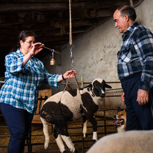 Exposició 'Col·leccionar passions. La família Torres-Soriano i la cultura material dels pastors'