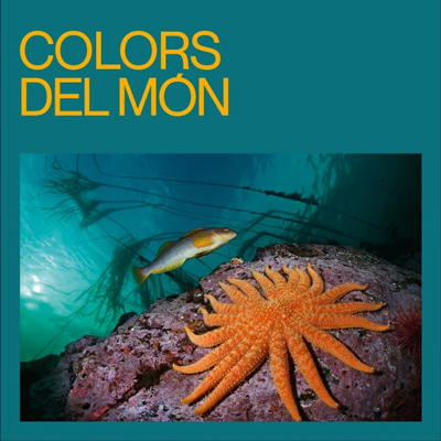 Exposició 'Colors del Món', Caixaforum, 2024 Exposició 'Colors del Món', Caixaforum, 2024