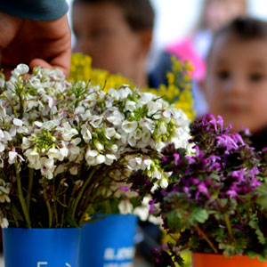 Activitat Familiar 'Cuinem amb herbes i flors espontànies de primavera' a càrrec d'Els Corremarges Activitat Familiar 'Cuinem amb herbes i flors espontànies de primavera' a càrrec d'Els Corremarges