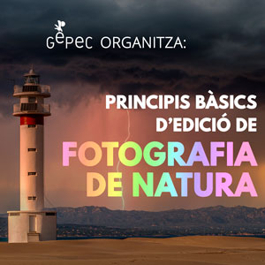 Curs 'Fotografia de natura' - Gepec 2020 Curs 'Fotografia de natura' - Gepec 2020