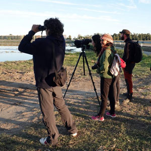 Curs 'Hàbitats i ocells' - MónNatura Delta de l'Ebre