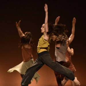 Espectacle solidàri de dansa 'Dansem' Espectacle solidàri de dansa 'Dansem'