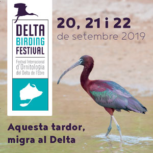 Delta Birding Festival - MónNatura Delta de l'Ebre 2019 Delta Birding Festival - MónNatura Delta de l'Ebre 2019