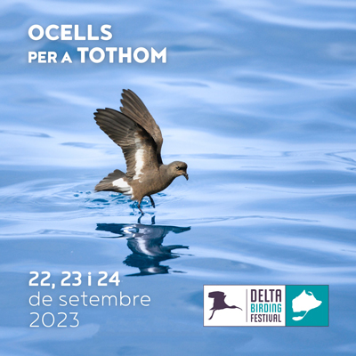 Delta Birding Festival - Amposta 2023 Delta Birding Festival - Amposta 2023