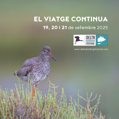 XI Delta Birding Festival, Amposta, 2025 XI Delta Birding Festival, Amposta, 2025