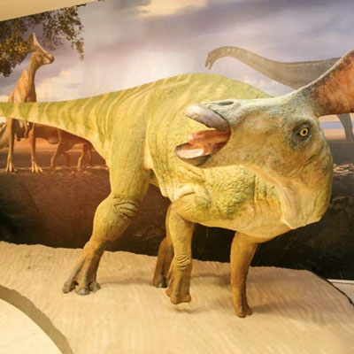 Dinosari, Museu de la Conca Dellà, Isona, 2020