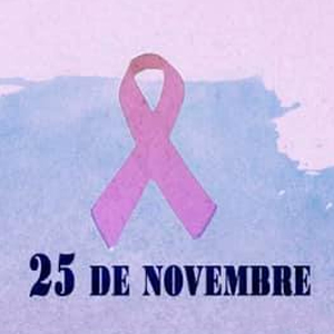 Dia Internacional per a l’eliminació de la violència envers les dones a Puigcerdà Dia Internacional per a l’eliminació de la violència envers les dones a Puigcerdà