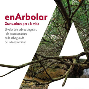 Exposició 'EnArbolar. Grans arbres per a la vida' Exposició 'EnArbolar. Grans arbres per a la vida'