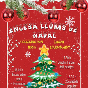 Encesa de les llums de Nadal - L'Aldea 2019 Encesa de les llums de Nadal - L'Aldea 2019