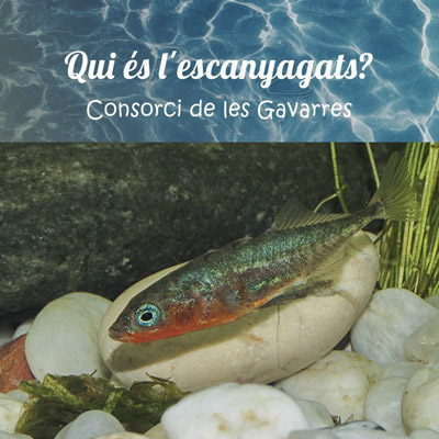 Activitat 'Qui és l'escanyagats?', Quart, 2021