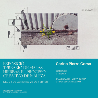 Exposició 'Terrario de Malas Hierbas: el proceso creativo de Maleza', de Carina Pierro Corso Exposició 'Terrario de Malas Hierbas: el proceso creativo de Maleza', de Carina Pierro Corso