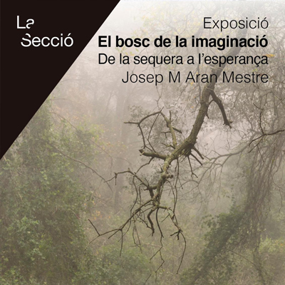 Exposició 'Un bosc de la imaginació. De la sequera a l'esperança' de Josep M. Aran Mestre, CERaP, Riudoms, 2025 Exposició 'Un bosc de la imaginació. De la sequera a l'esperança' de Josep M. Aran Mestre, CERaP, Riudoms, 2025