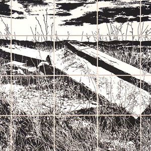 Exposició 'Lluites limítrofes' de l’artista garrotxí Adrià Gamero Exposició 'Lluites limítrofes' de l’artista garrotxí Adrià Gamero