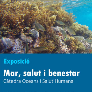 Exposició 'Mar, salut i benestar' de la Càtedra Oceans i Salut Humana