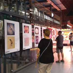 Exposició #FotoRecercaURV2019 a Tarragona, 2019