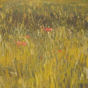 Exposició, El paisatge que m’habita, Centre Cultural La Mercè, Girona, 2020