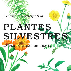Exposició 'Plantes Silvestres' al Centre Cívic de Porqueres, 2019 Exposició 'Plantes Silvestres' al Centre Cívic de Porqueres, 2019
