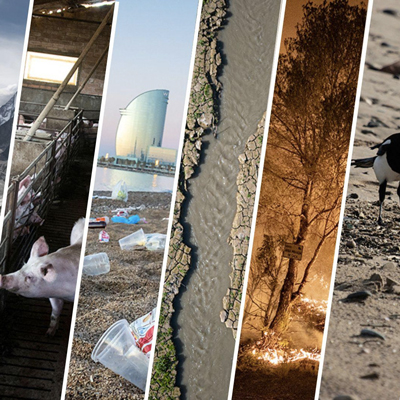 Exposició 'La nostra terra, avui', 2022 Exposició 'La nostra terra, avui', 2022